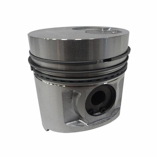 Piston & Rings