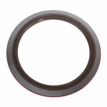 Rear Crankshaft Seal