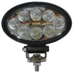 Oval LED Light