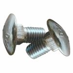 Carriage Bolt, M10 x 25mm 1.5 Pitch, Package of 2