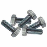 Hex Bolt, M10x30mm 1.5 Pitch, Package of 5