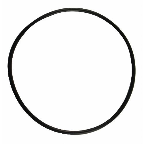 IPTO Bearing Cage O-Ring