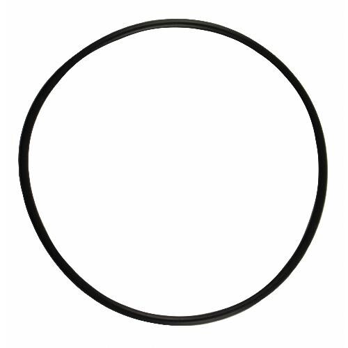 IPTO Bearing Cage O-Ring