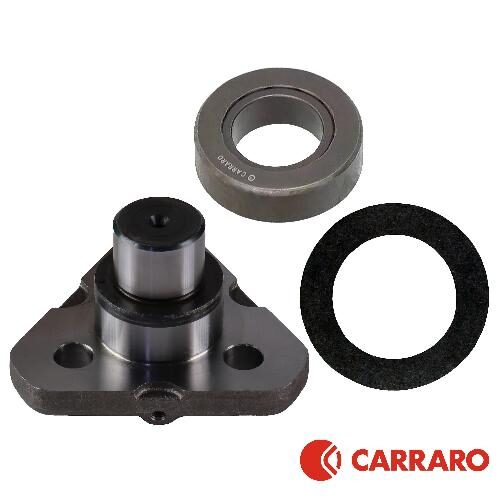 Carraro Lower Kingpin Bearing &amp; Washer Kit, MFD