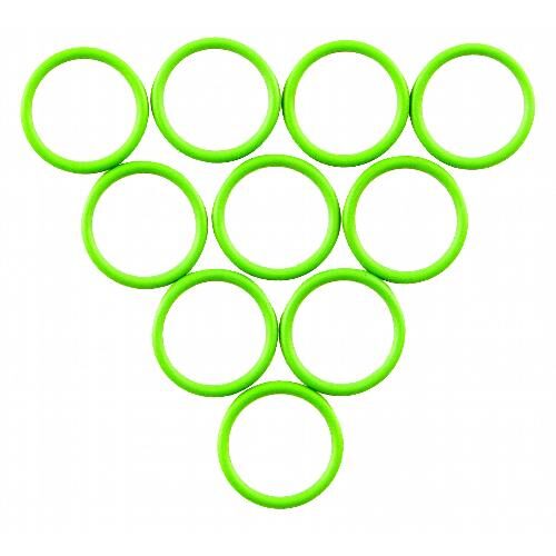 Sanden &amp; Seltec GM Pad O-Rings, (Pkg. of 10)