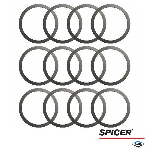 Dana/Spicer Pinion Shim Kit, MFD
