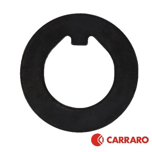 Carraro Lock Washer, MFD