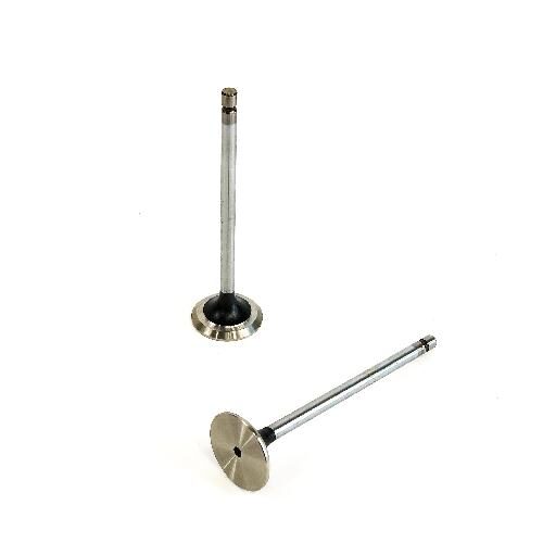 Exhaust Valve
