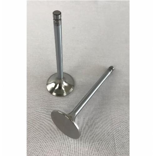 Intake Valve