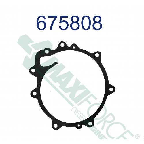 Water Pump Gasket