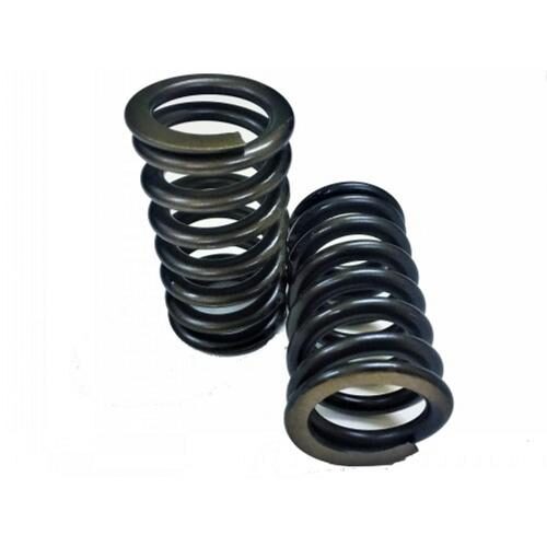 Valve Spring