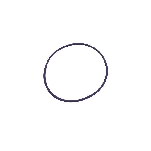 Cylinder Liner O-Ring - Color Purple