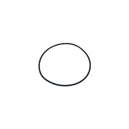 Cylinder Liner O-Ring - Color Black