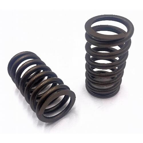 Valve Spring