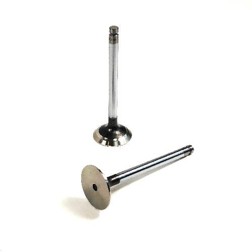 Exhaust Valve