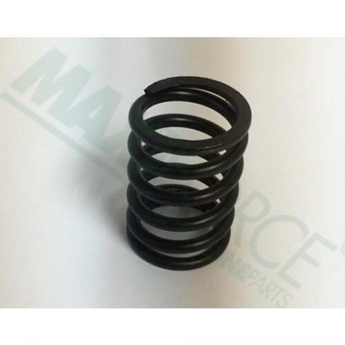 Valve Spring