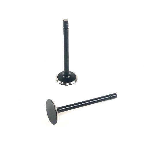 Exhaust Valve