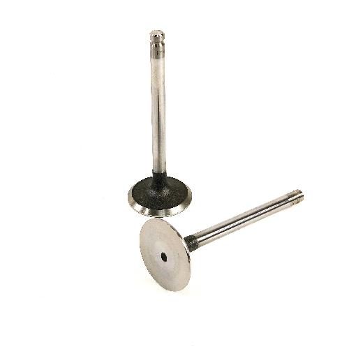 Intake Valve