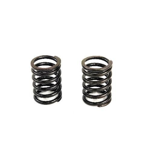Valve Spring