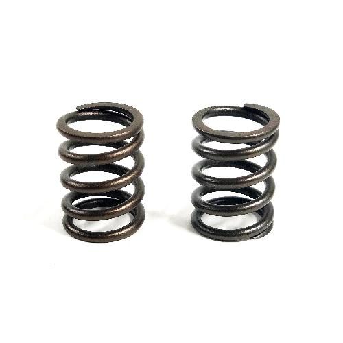 Valve Spring