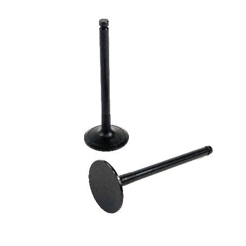 Intake Valve