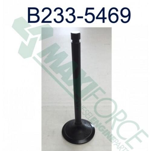 Intake Valve