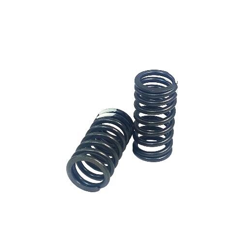 Valve Spring