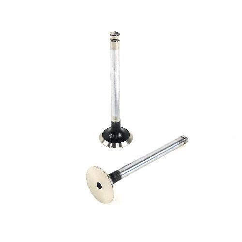 Exhaust Valve