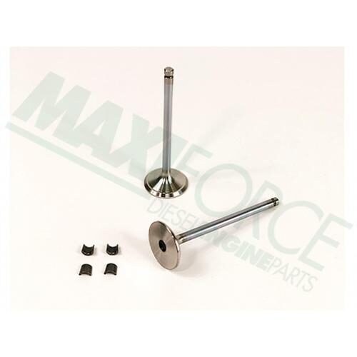 Exhaust Valve Kit