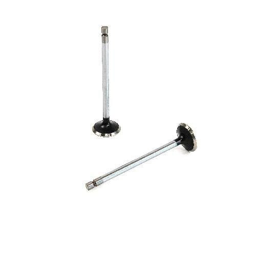 Exhaust Valve