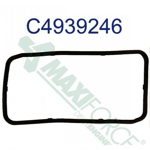 Oil Pan Gasket