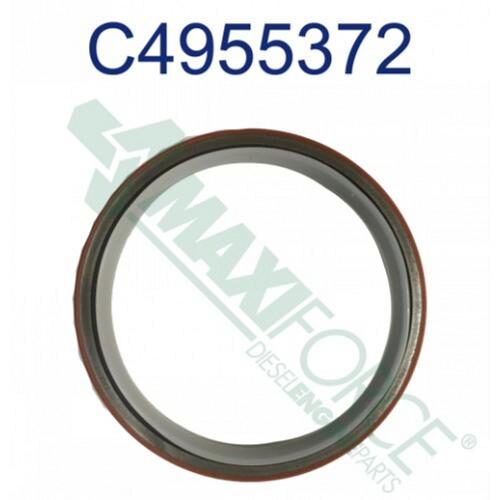 Rear Crankshaft Seal