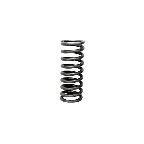 Valve Spring