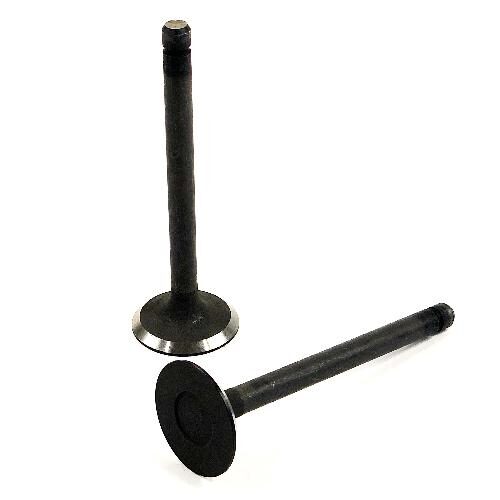 Intake Valve
