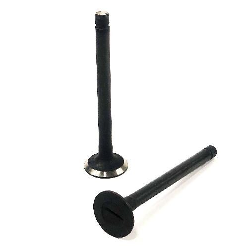 Exhaust Valve