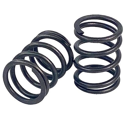 Valve Spring