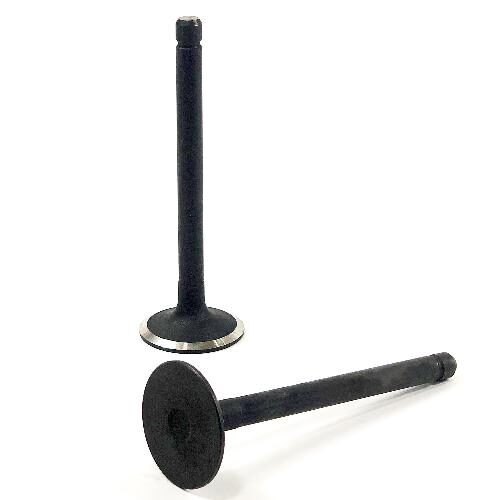 Intake Valve