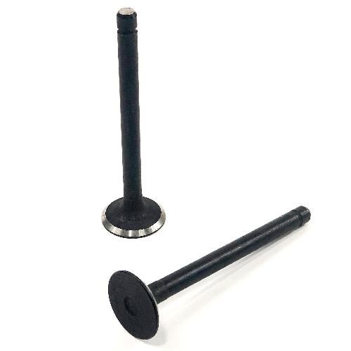 Exhaust Valve
