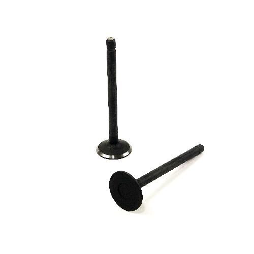 Exhaust Valve