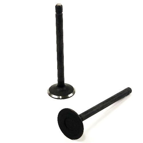 Exhaust Valve