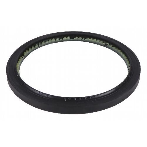Rear Crankshaft Seal, Lip Style