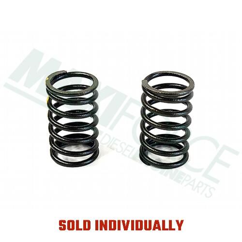 Inner Valve Spring