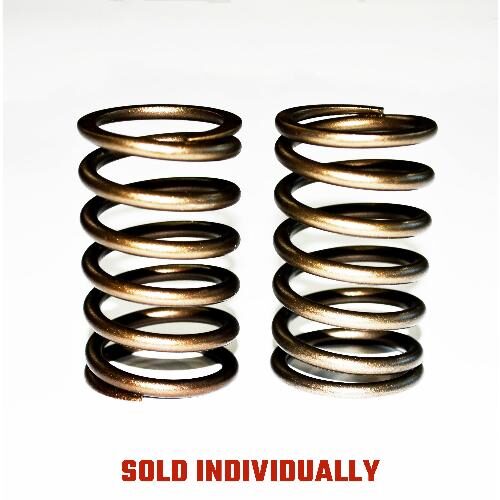 Outer Valve Spring