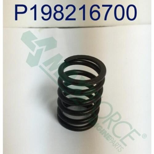 Valve Spring
