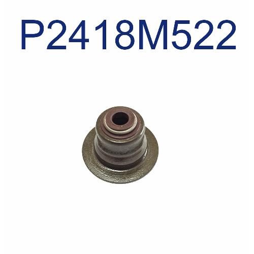 Valve Stem Seal