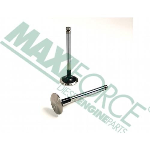 Exhaust Valve