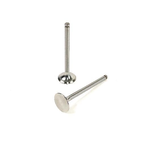 Exhaust Valve