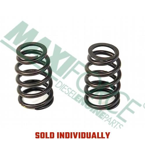 Valve Spring