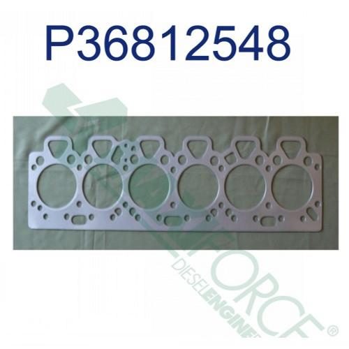 Head Gasket