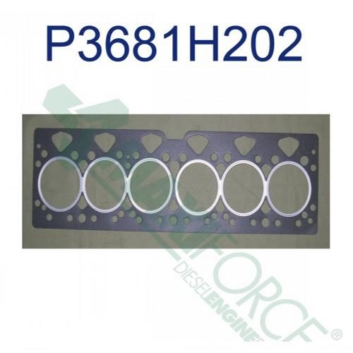 Head Gasket